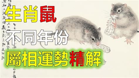 生肖屬鼠